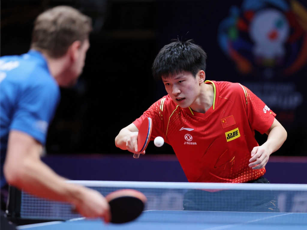 会的复仇 会的复仇